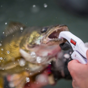 Plávajúce vylovovacie kliešte Rapala Fish Gripper